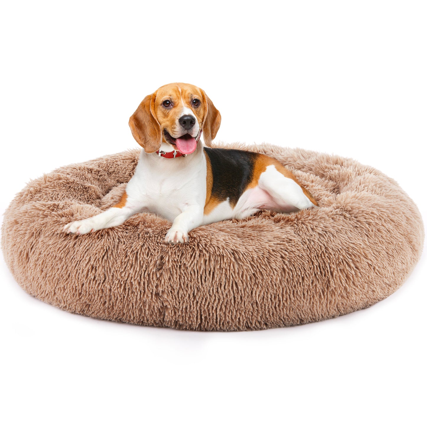 Anxiety Calming Bed