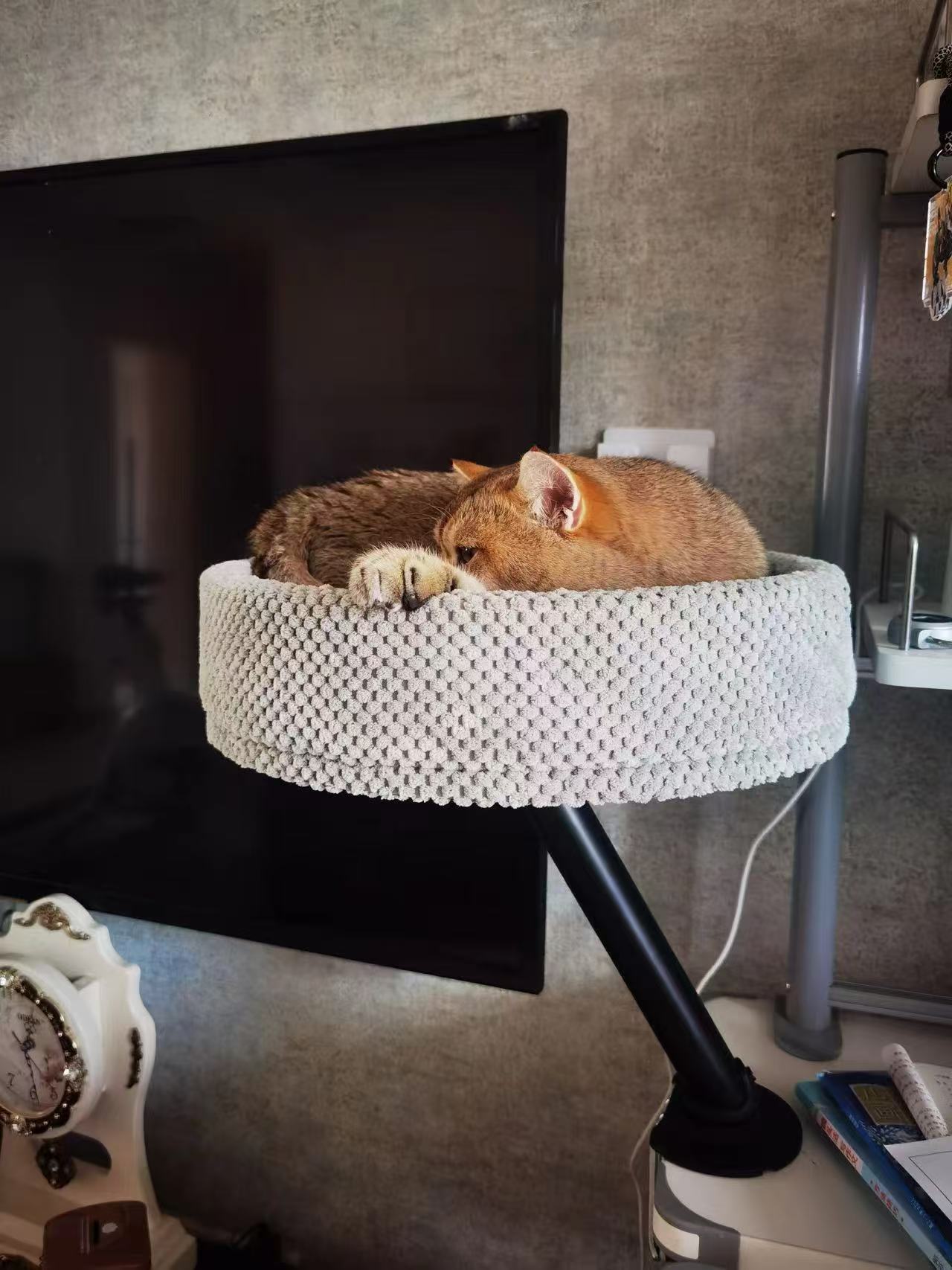 Purrch Tower