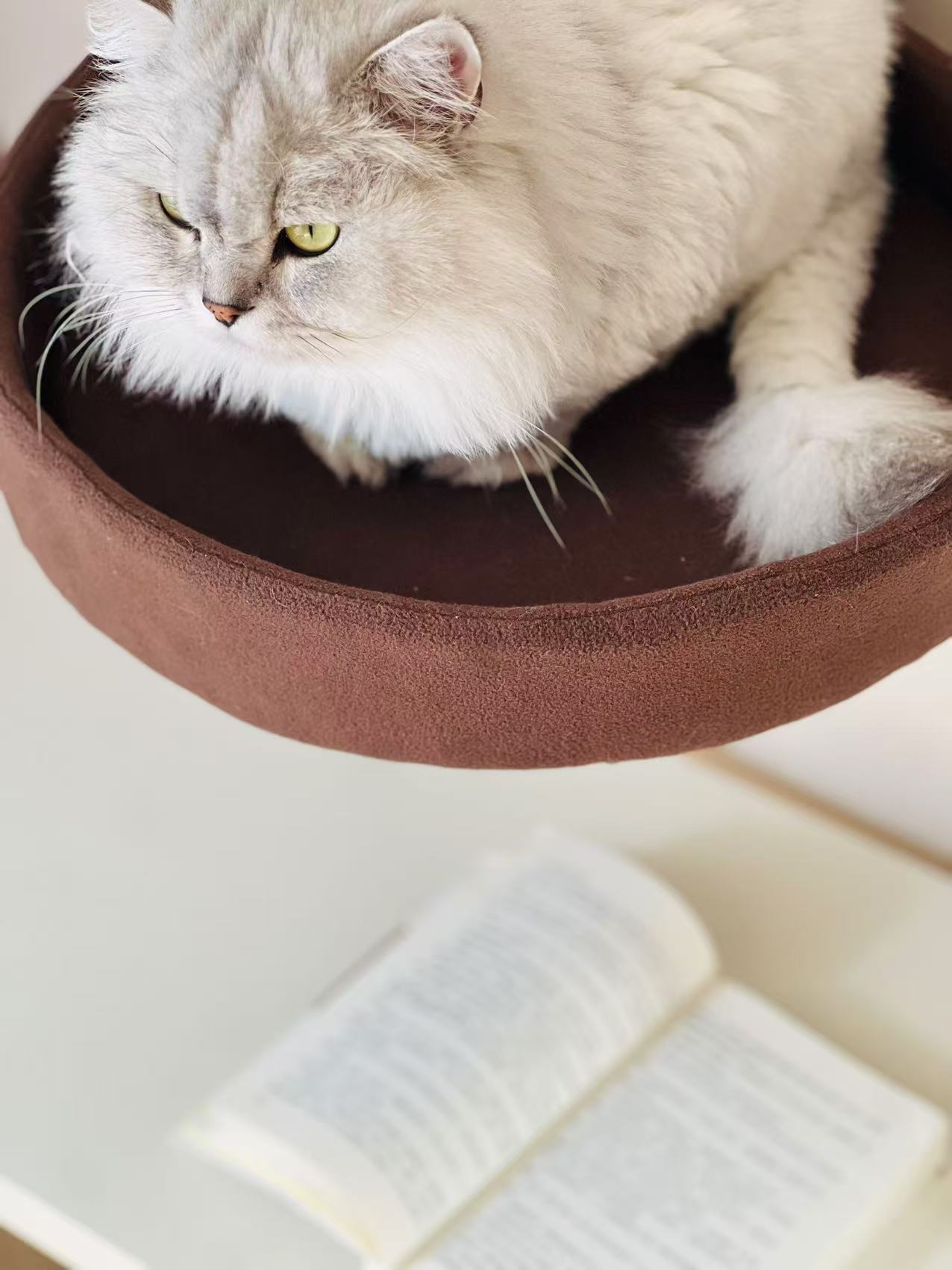 Purrch Tower