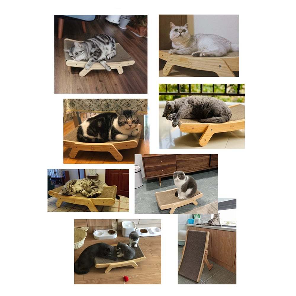 PurrLounge