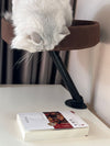 Purrch Tower
